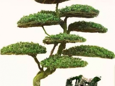 穿孔石膏板系列